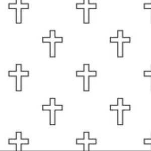 Meet your Posher, Taylar